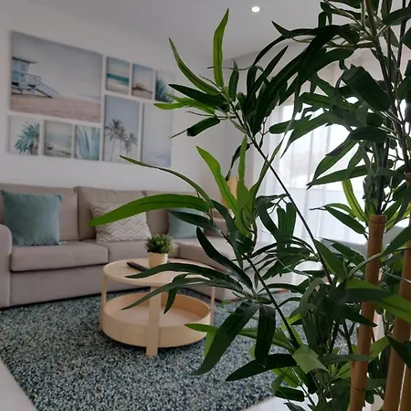 Apartment Life Apartment, New, Elegant And Cozy